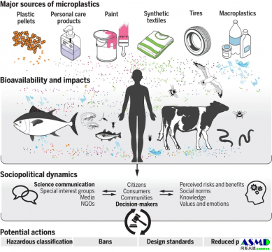Science| 微塑料研究二十年：从污染起源到全球治理