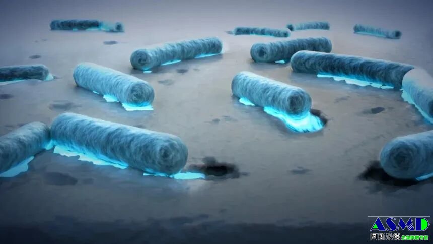 <b>重大发现：全球 80% 海域发现“吃塑料”细菌，已进化出降解能力</b>