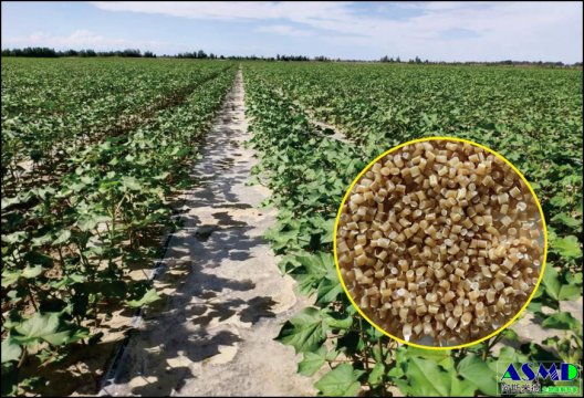 山东华利 ASMD®-NED8500自然环境生物降解母粒：  为新疆棉花田“减少塑料白色污